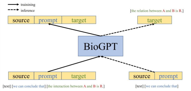 ساختار مدل هوش مصنوعی BioGPT